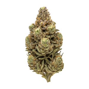 420 Compound 30/1 CA PPE "Platinum Pavé"