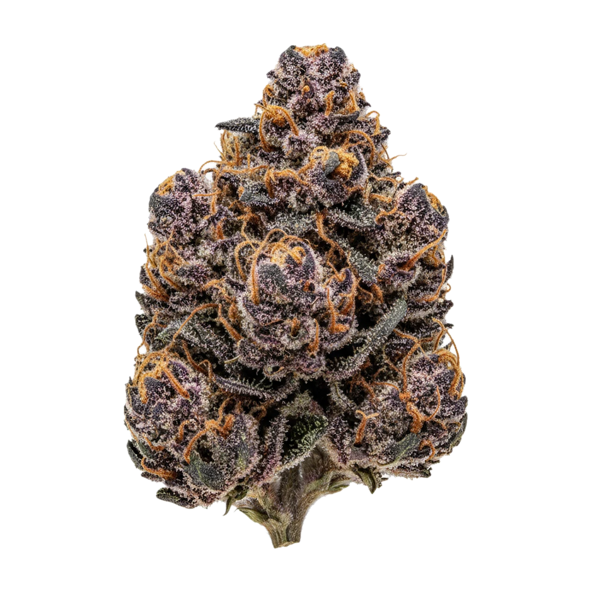 KI-generierte Illustration einer Cannabisblüte, zeigt nicht die tatsächliche Charge – 420 Compound GAP "Gastro Pop"