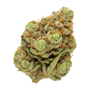 420 Evolution 22/1 MAC "MAC 1"