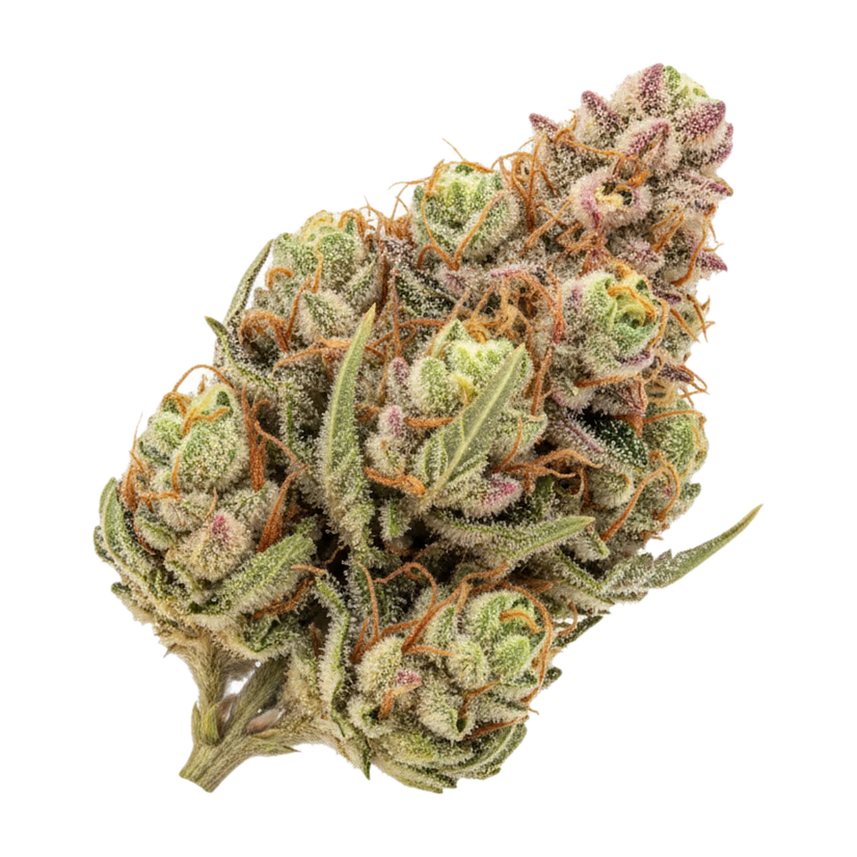 KI-generierte Illustration einer Cannabisblüte, zeigt nicht die tatsächliche Charge – 420 Evolution 25/1 MAC "MAC 1"