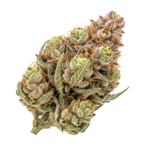 420 Evolution 25/1 MAC "MAC 1"