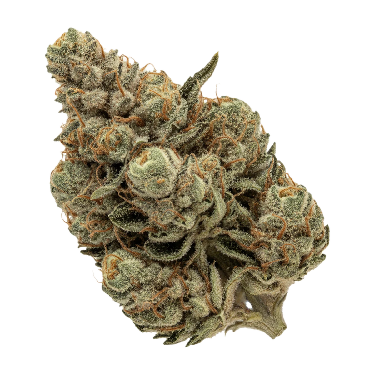KI-generierte Illustration einer Cannabisblüte, zeigt nicht die tatsächliche Charge – 420 Evolution MMI "Miracle Mint"