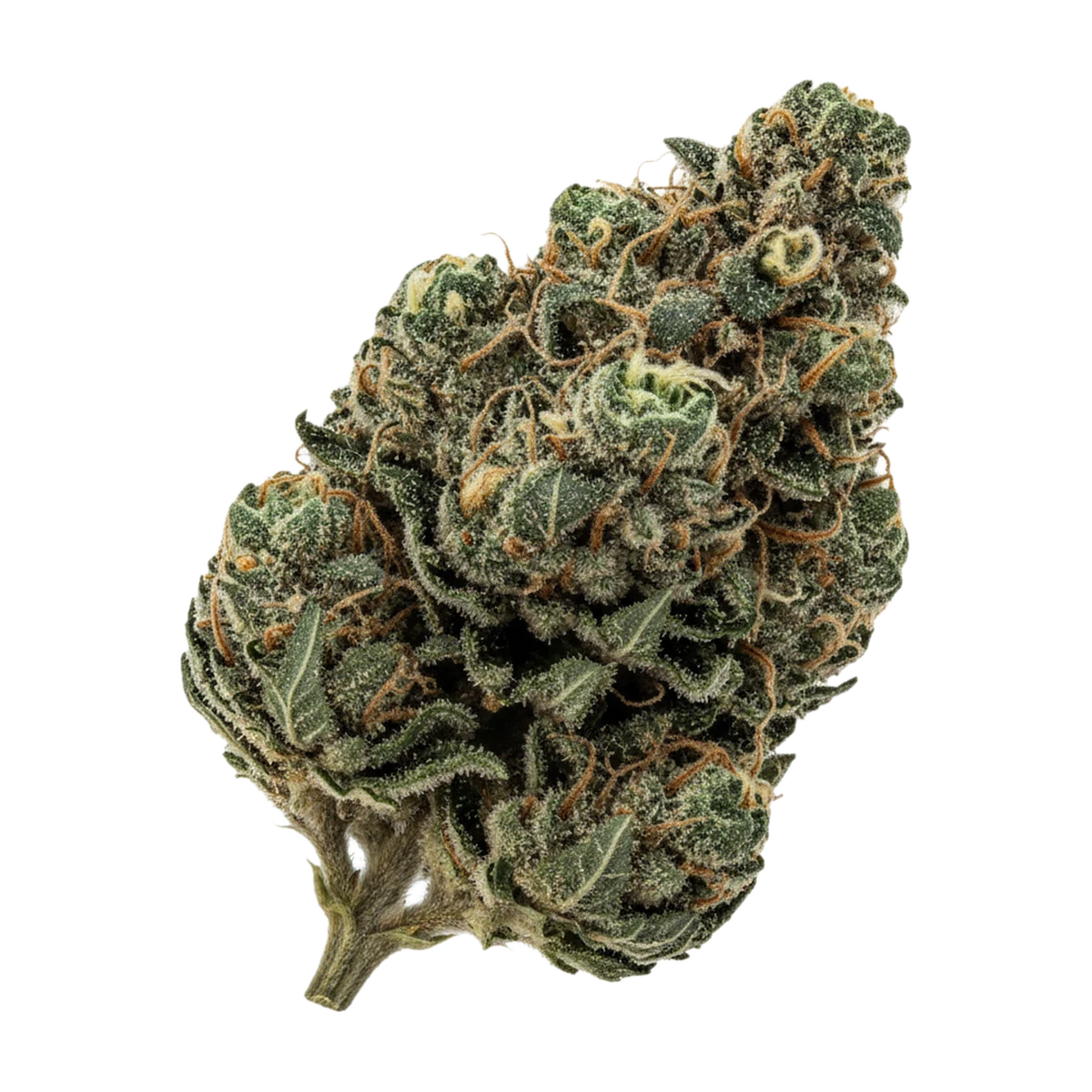 KI-generierte Illustration einer Cannabisblüte, zeigt nicht die tatsächliche Charge – 420 Evolution 25/1 PLD "Plum Driver"