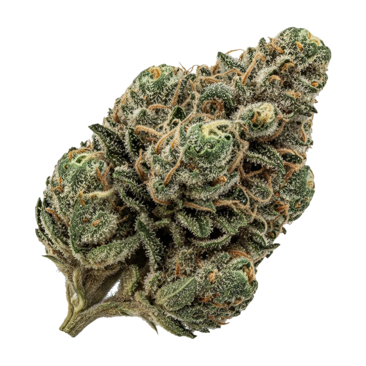 KI-generierte Illustration einer Cannabisblüte, zeigt nicht die tatsächliche Charge – 420 Evolution 27/1 FRG "Frosted Gumbo"