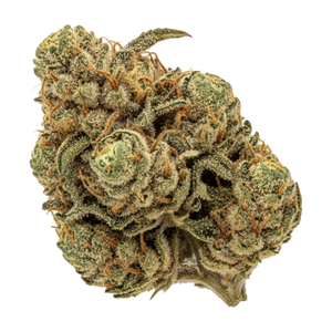 420 Evolution 27/1 GMO "GMO Cookies"