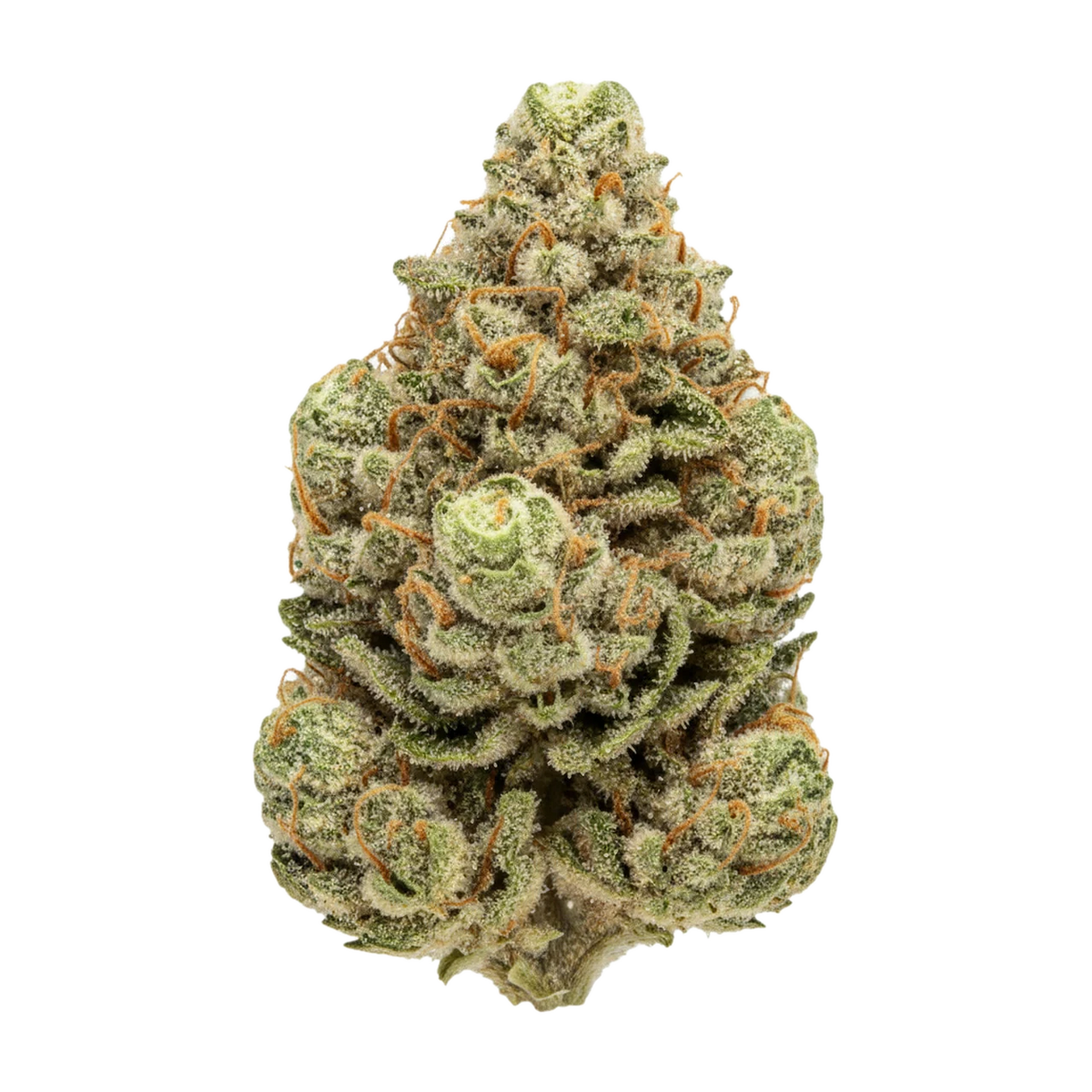 KI-generierte Illustration einer Cannabisblüte, zeigt nicht die tatsächliche Charge – 420 Evolution 27/1 ICC "Ice Cream Cake"