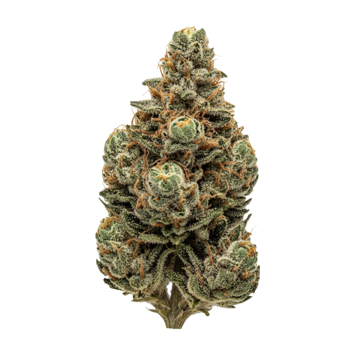 KI-generierte Illustration einer Cannabisblüte, zeigt nicht die tatsächliche Charge – 420 Evolution 30/1 CA PEX "Pineapple Fruz"