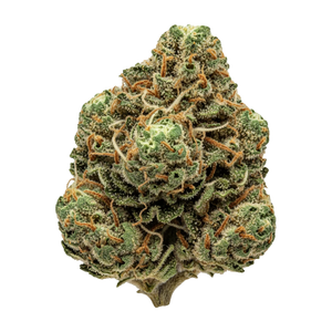 420 Evolution 30/1 PCH "Peach Chementine"