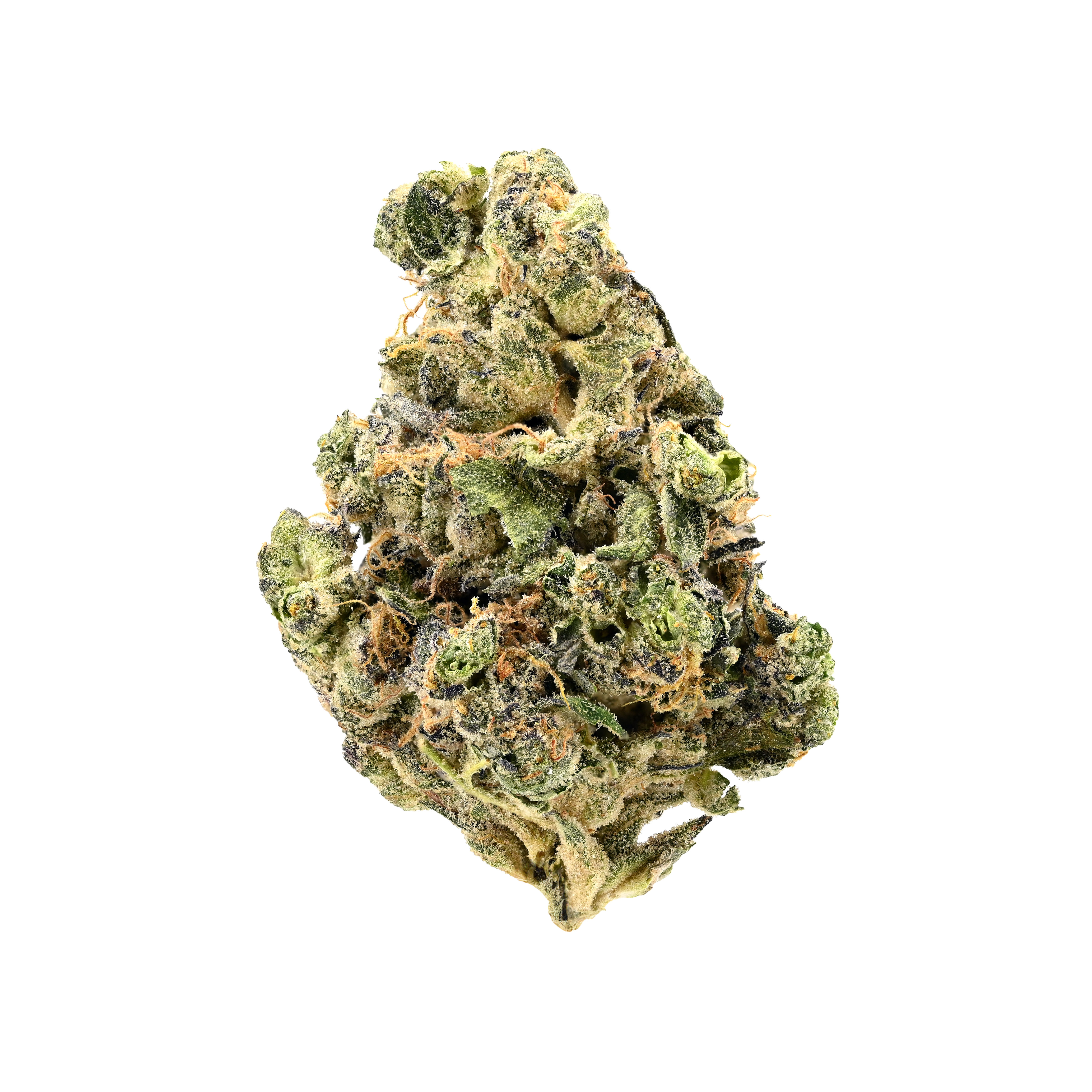 Luana 20/1 GSC "Girl Scout Cookies"