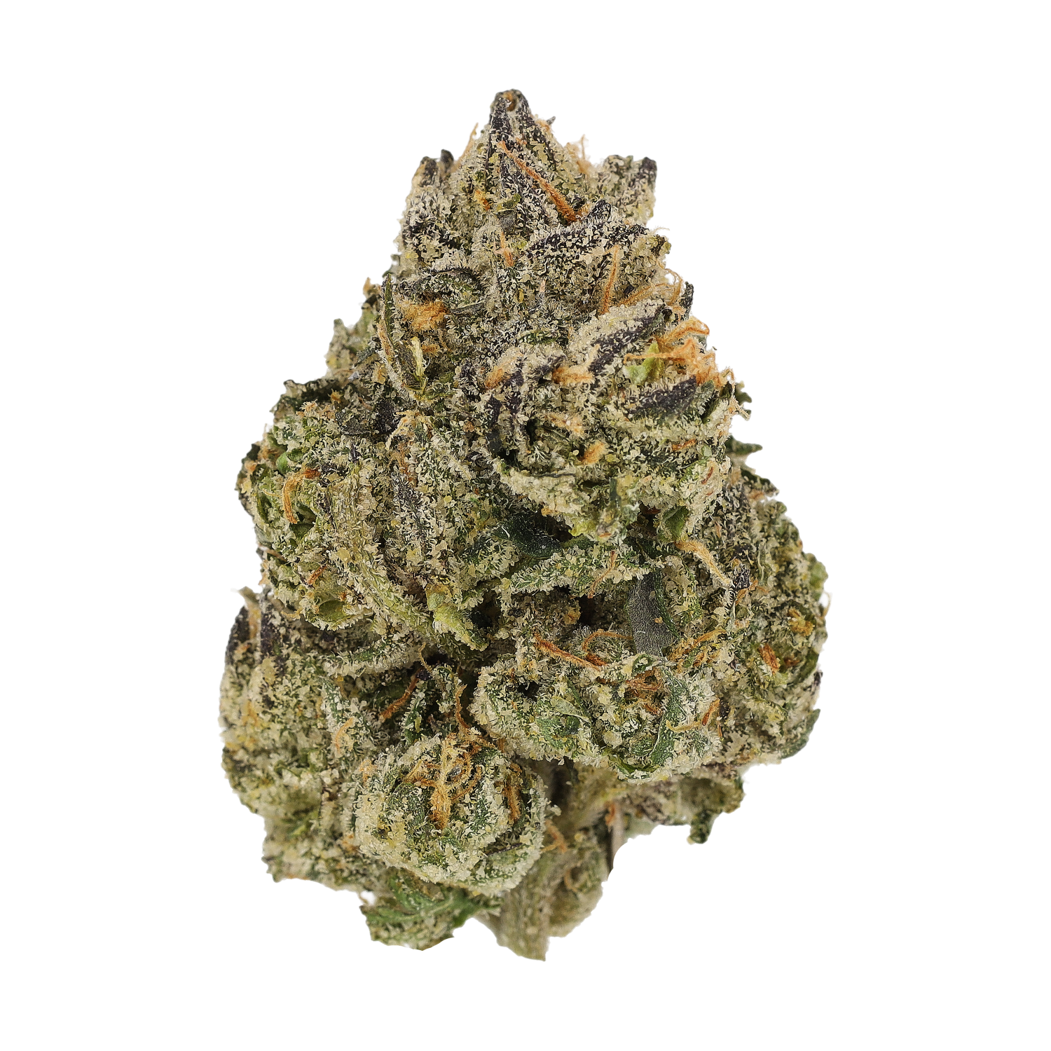 Cannamedical Craft 28/1 "Midnight Lotus"