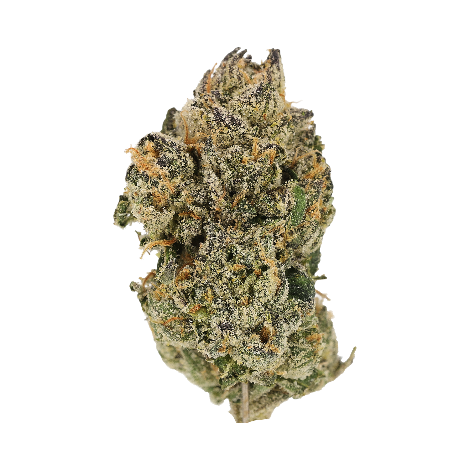 Cannamedical Craft 28/1 "Midnight Lotus"