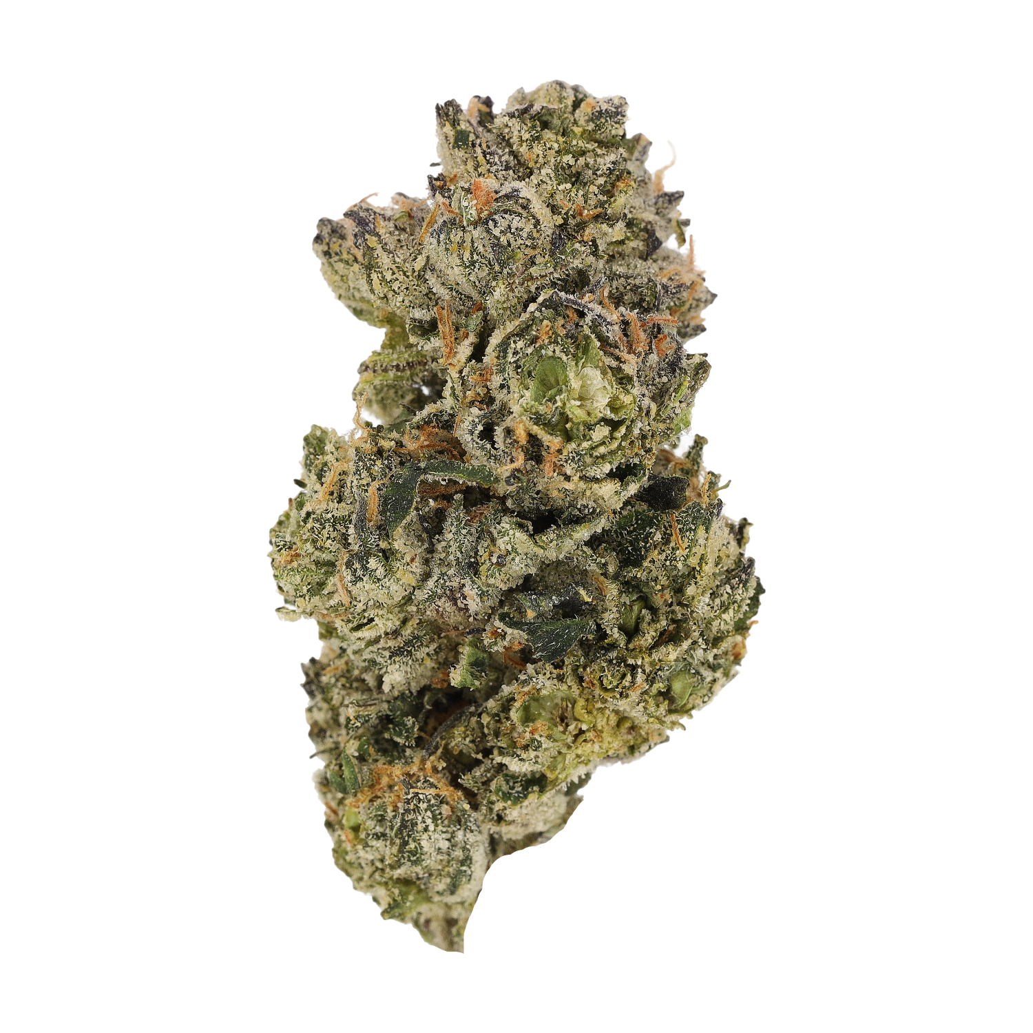 Cannamedical Craft 28/1 "Midnight Lotus"