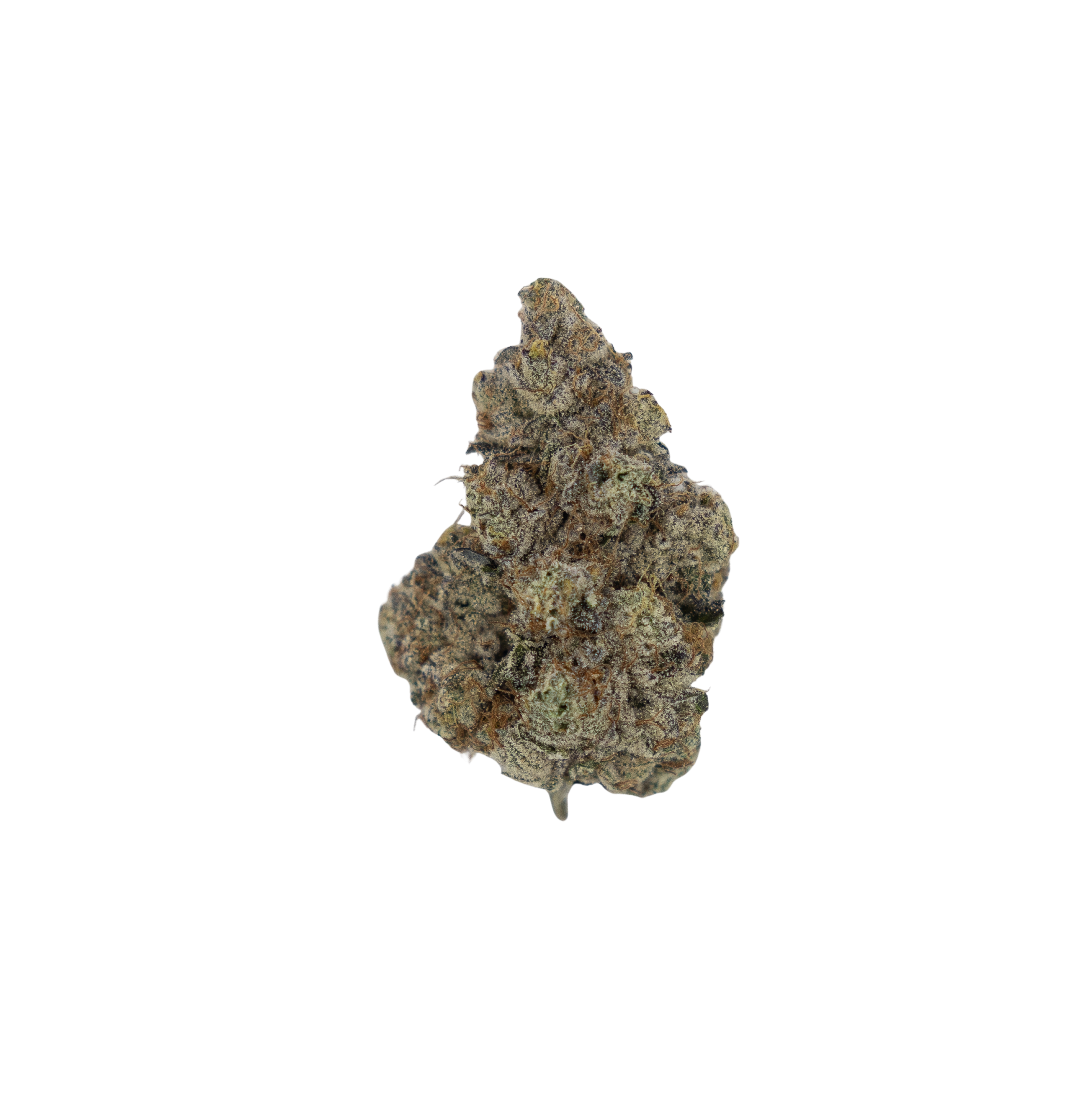 Tannenbusch Coffee Cake Cannabisblüte