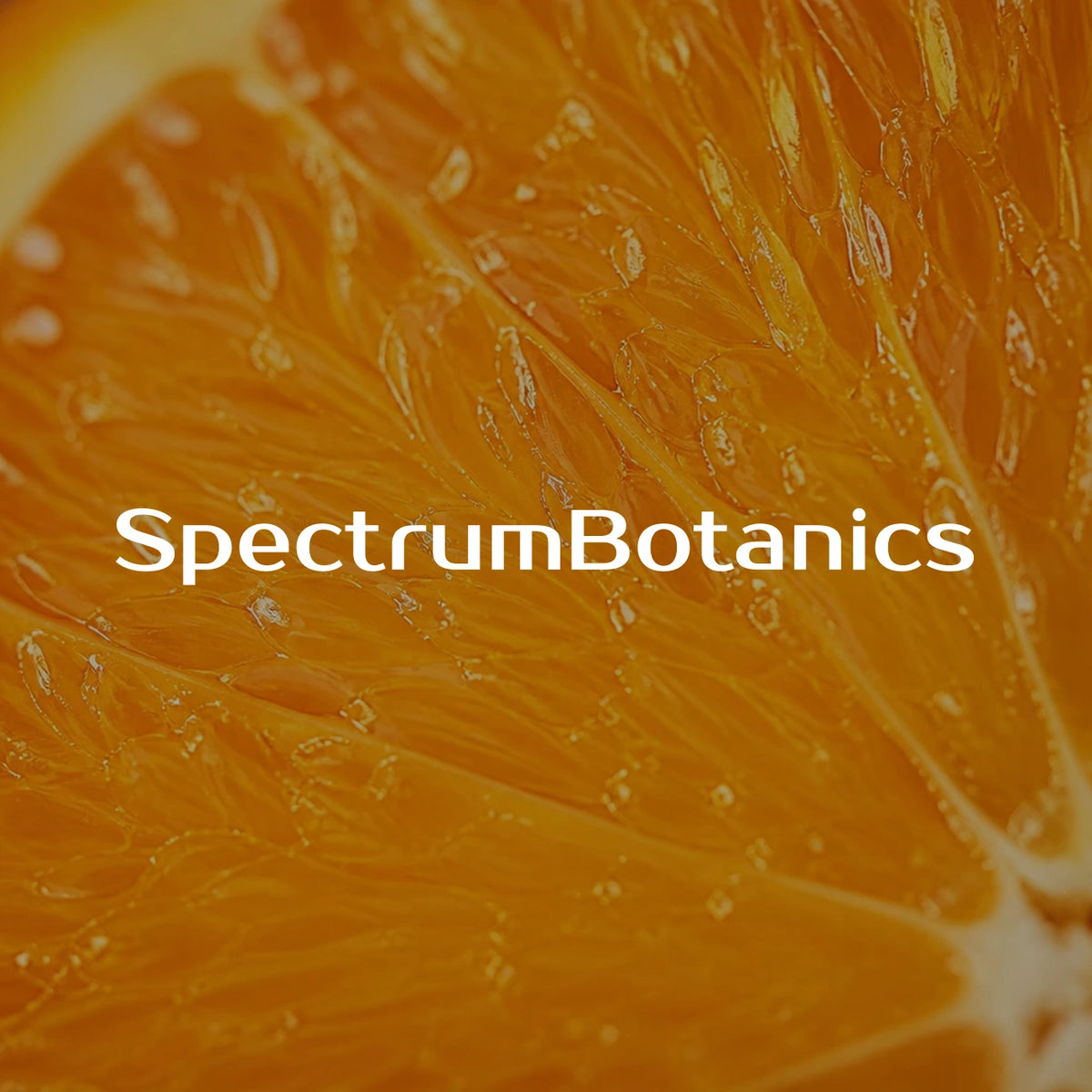 THC Gummies Orange 20mg THC - SpectrumBotanics