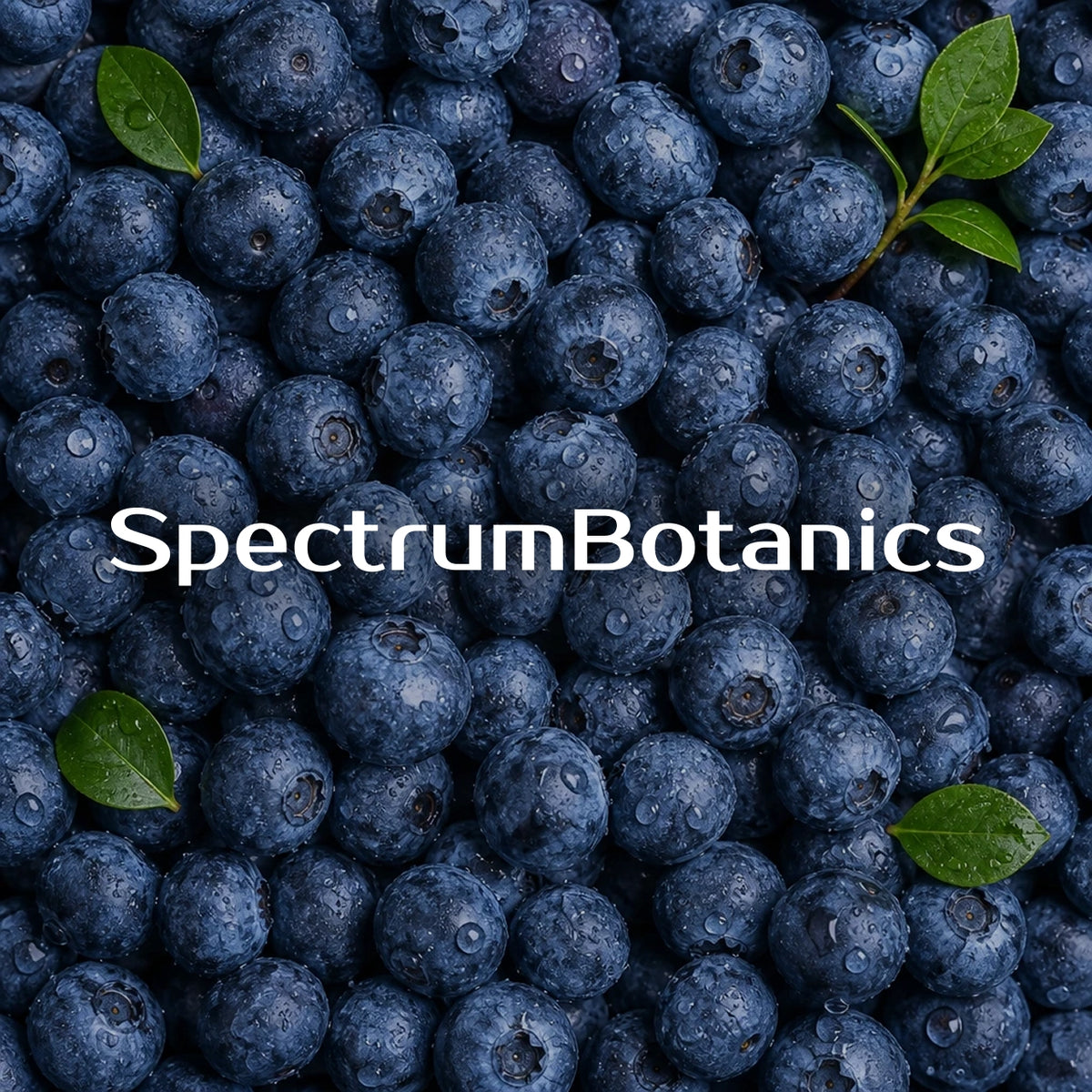 KI-generiertes Bild: SpectrumBotanics Blu Berry - Mood 4