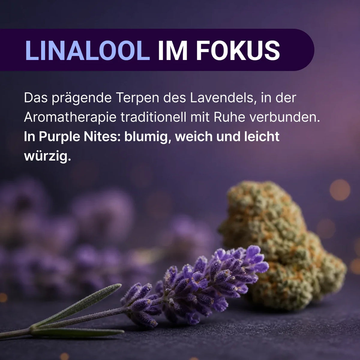KI-generiertes Bild: SpectrumBotanics Blue Lavender - Mood 3