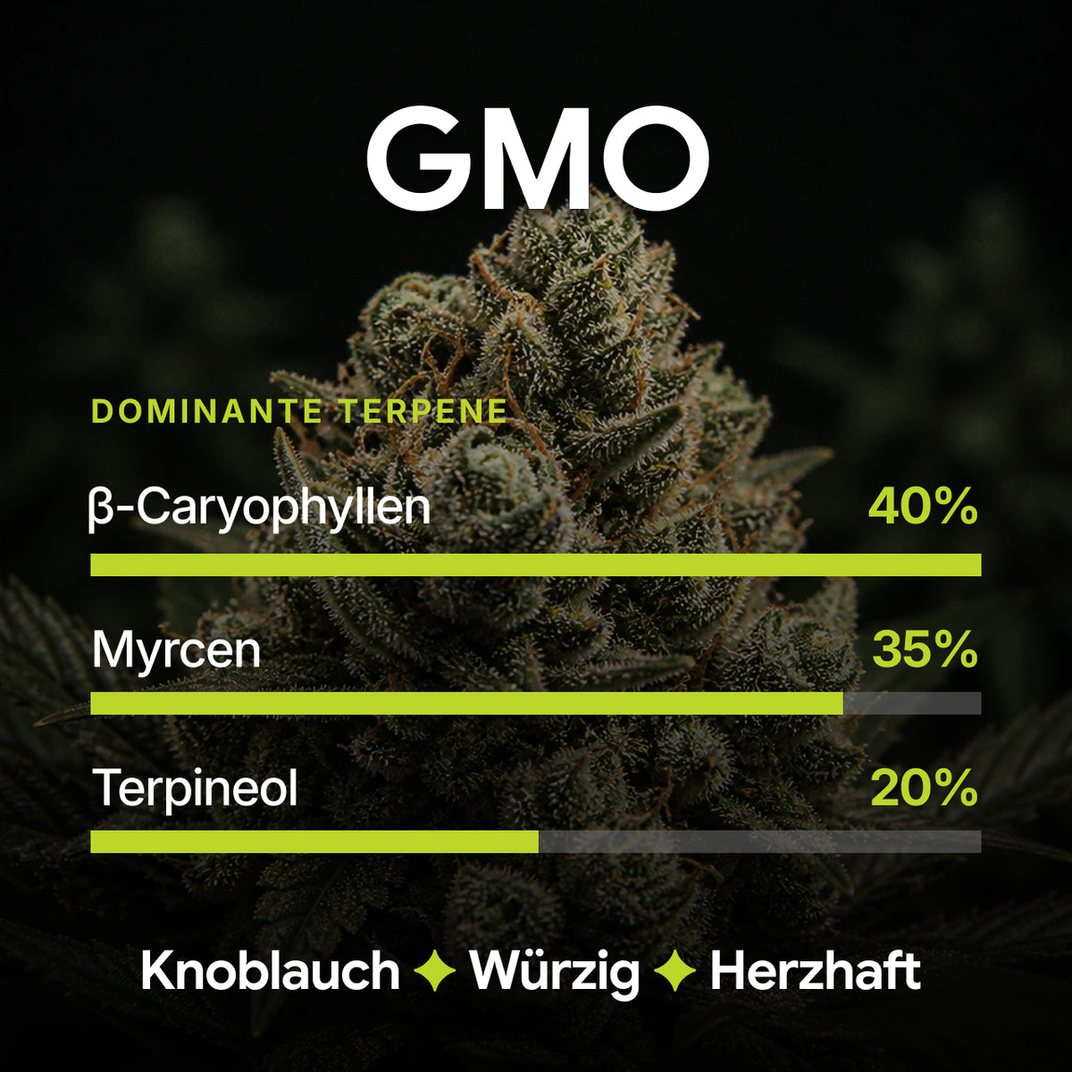 SpectrumBotanics GMO – dominante Terpene: β-Caryophyllen, Myrcen, Terpineol