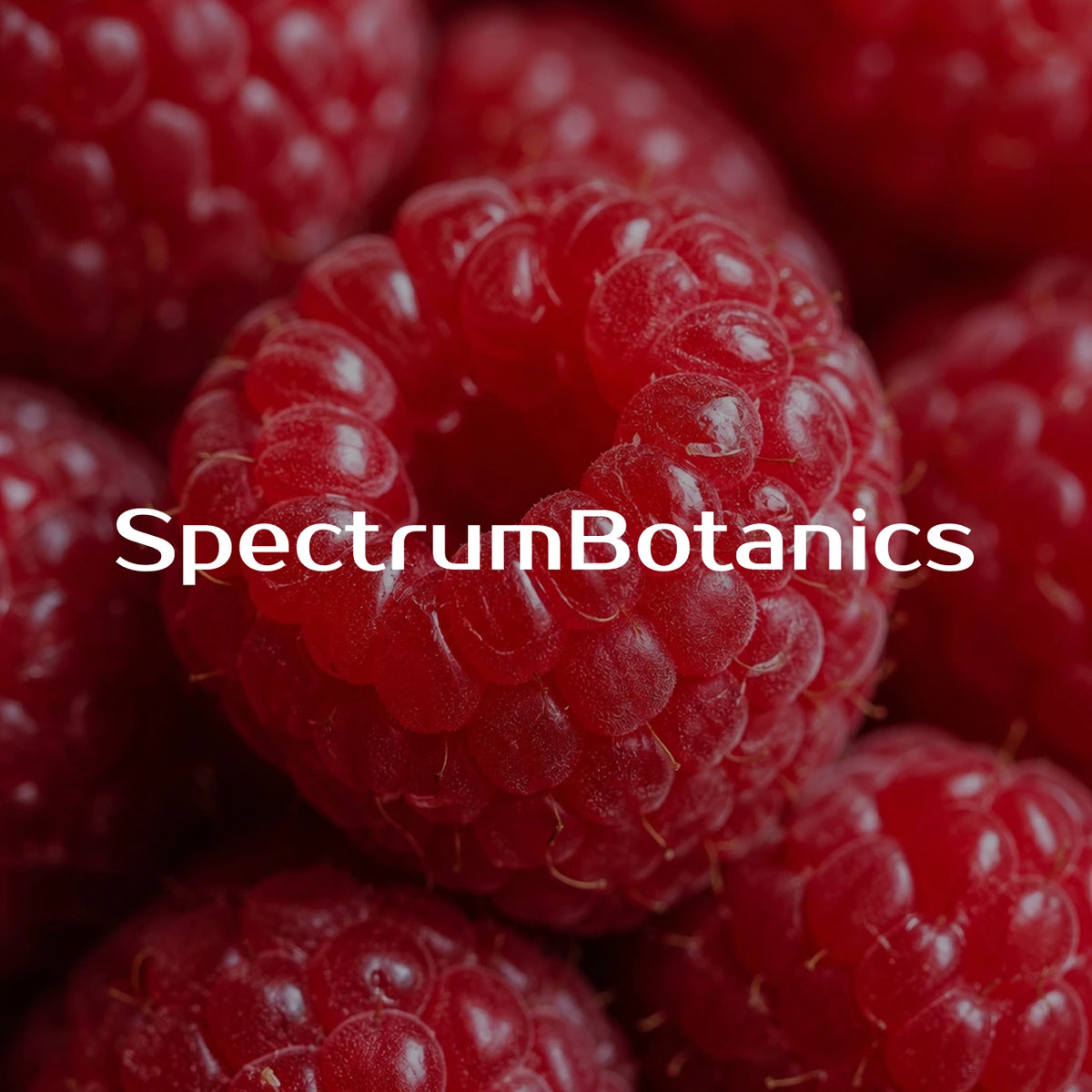 KI-generiertes Bild: SpectrumBotanics – Himbeere