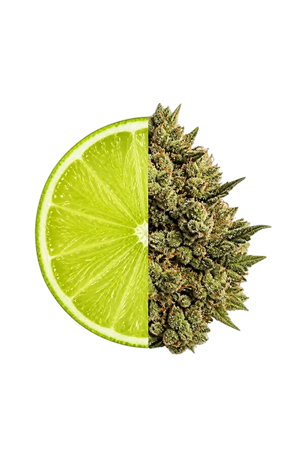 Enhanced