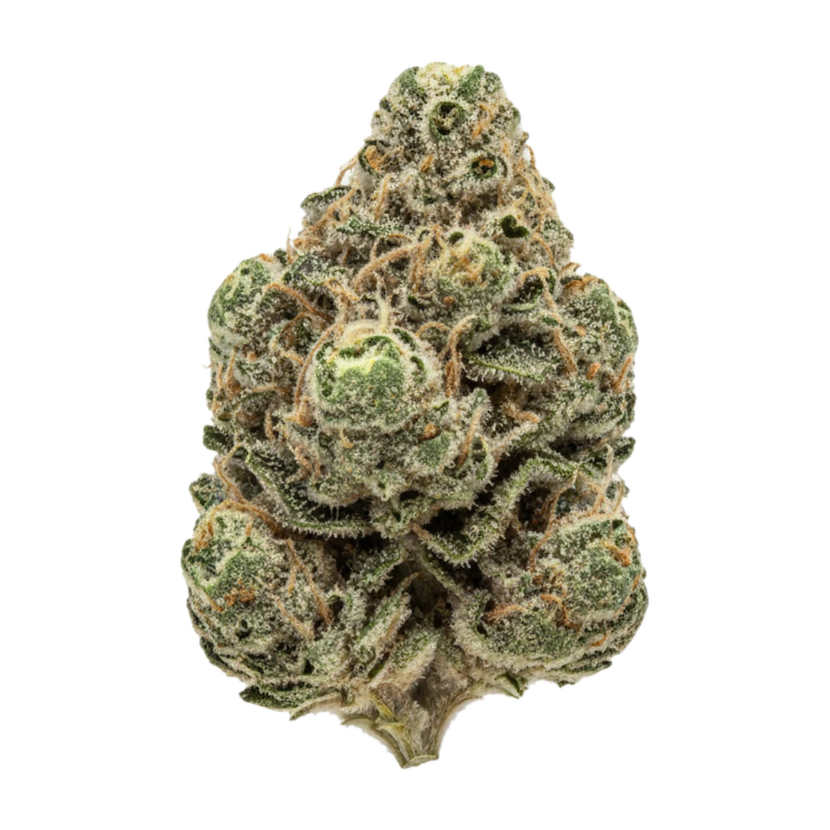 KI-generierte Illustration einer Cannabisblüte, zeigt nicht die tatsächliche Charge – A+ Kineo Jungelzzz 24/1 "Wedding Cake"