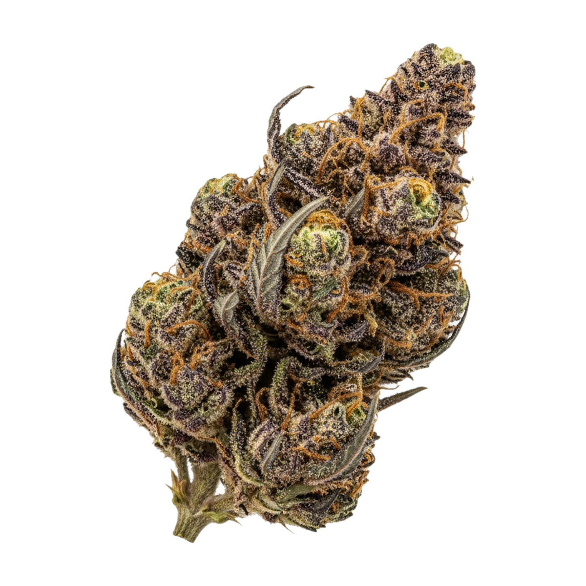 KI-generierte Illustration einer Cannabisblüte, zeigt nicht die tatsächliche Charge – All Nations EC 32/1 "El Chivo"