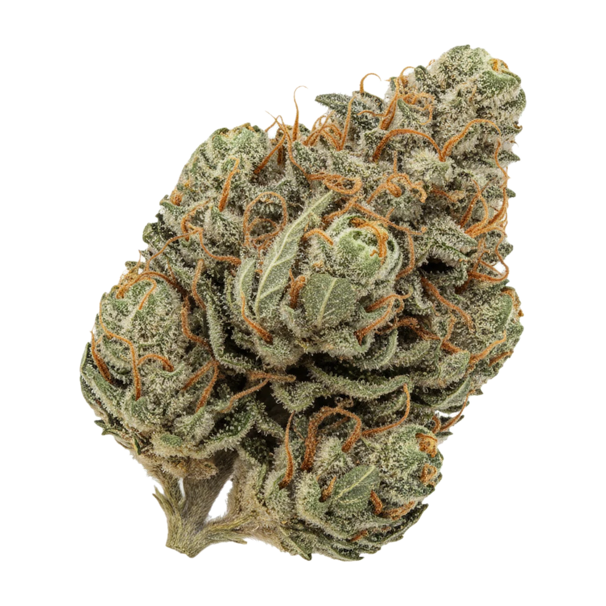 KI-generierte Illustration einer Cannabisblüte, zeigt nicht die tatsächliche Charge – All Nations 25/1 MD "Mac Daddy"