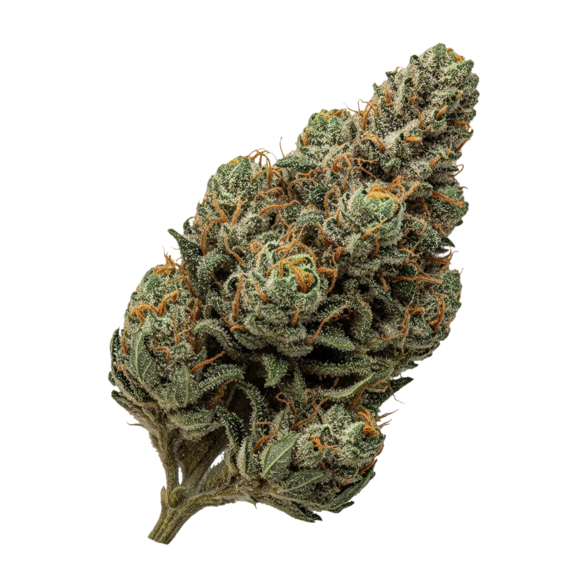 KI-generierte Illustration einer Cannabisblüte, zeigt nicht die tatsächliche Charge – Aurora "Delahaze"