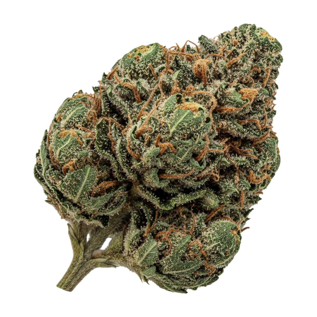 KI-generierte Illustration einer Cannabisblüte, zeigt nicht die tatsächliche Charge – avaay 21/1 BKR "Black Krush"