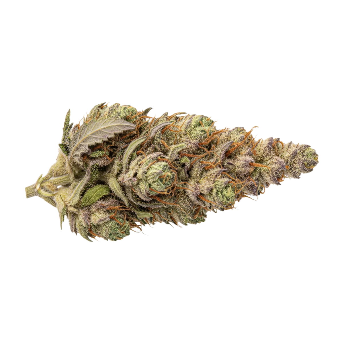KI-generierte Illustration einer Cannabisblüte, zeigt nicht die tatsächliche Charge – avaay 22/1 SB "Sunset Berries"