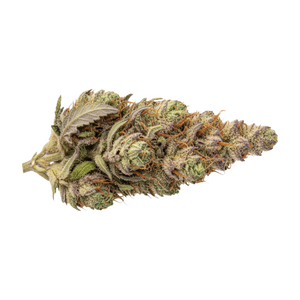 avaay 22/1 SB "Sunset Berries"