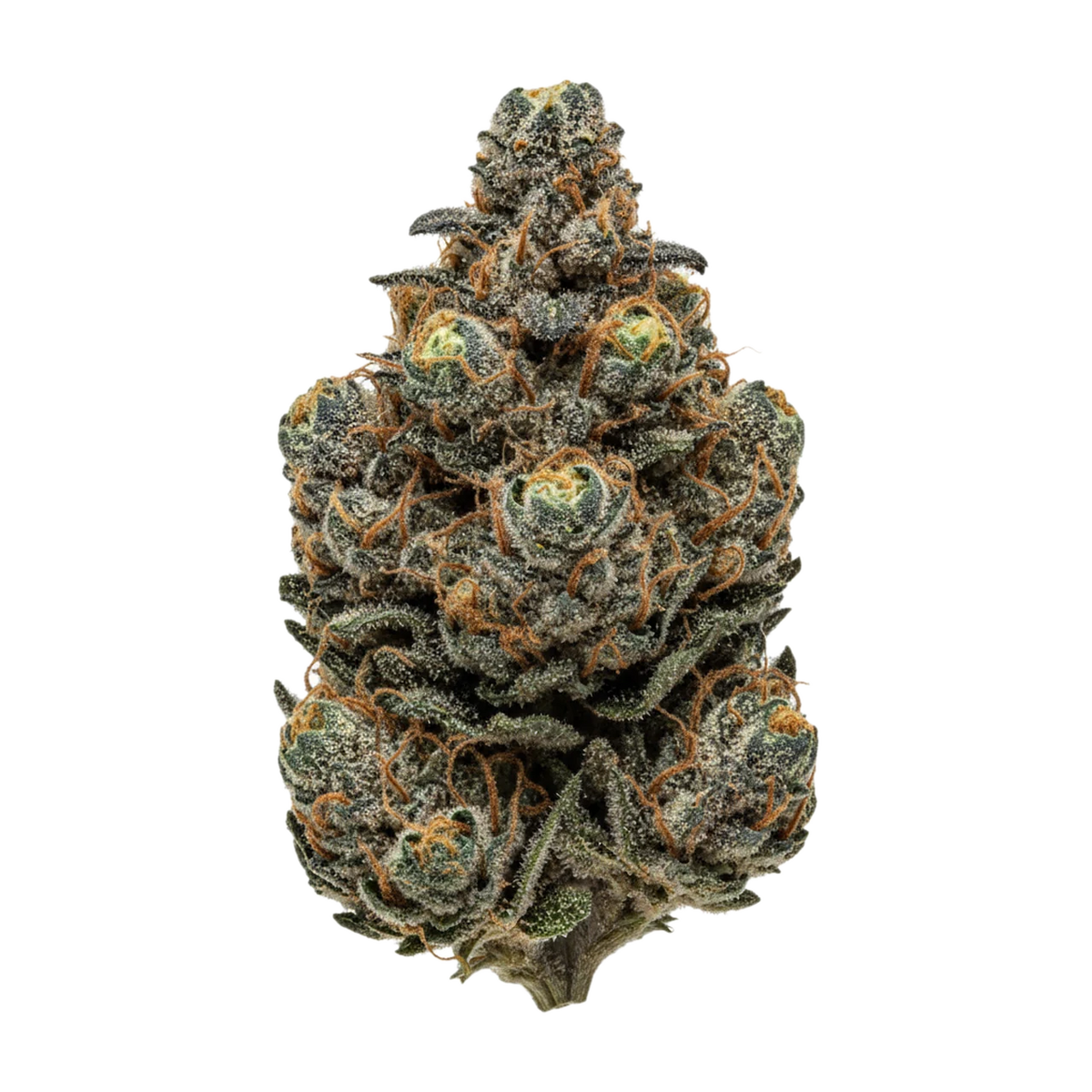 KI-generierte Illustration einer Cannabisblüte, zeigt nicht die tatsächliche Charge – avaay 26/1 MCO "Mac's Cookies"