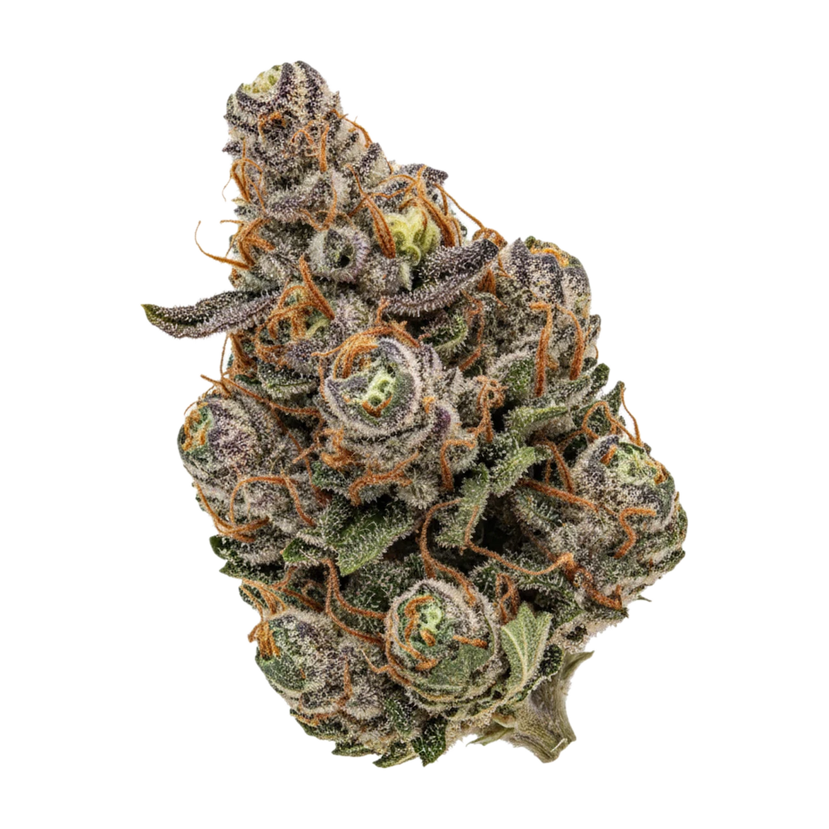 KI-generierte Illustration einer Cannabisblüte, zeigt nicht die tatsächliche Charge – avaay 28/1 GNC "Grapes and Cream"