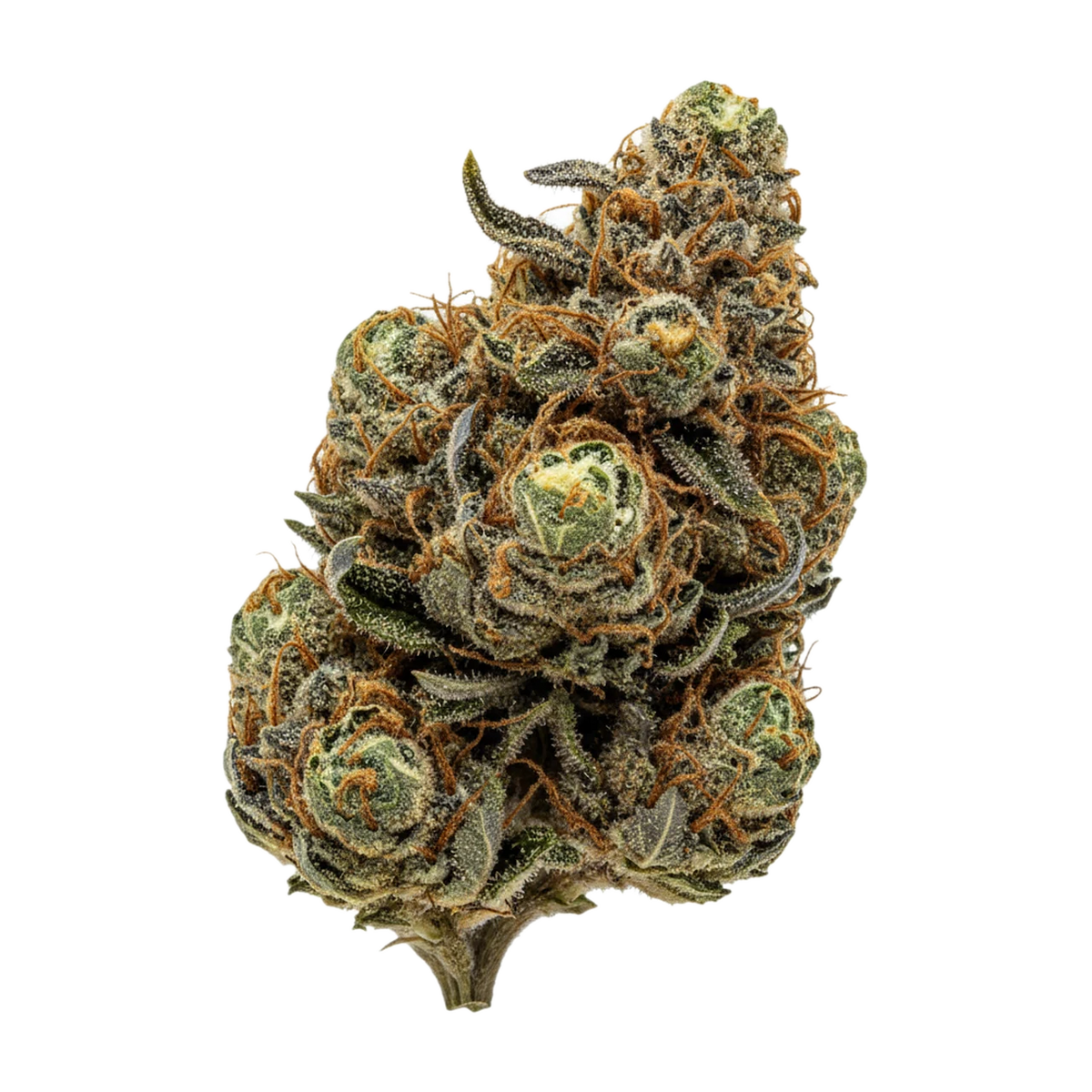 KI-generierte Illustration einer Cannabisblüte, zeigt nicht die tatsächliche Charge – avaay 28/1 PB "Point Breeze"