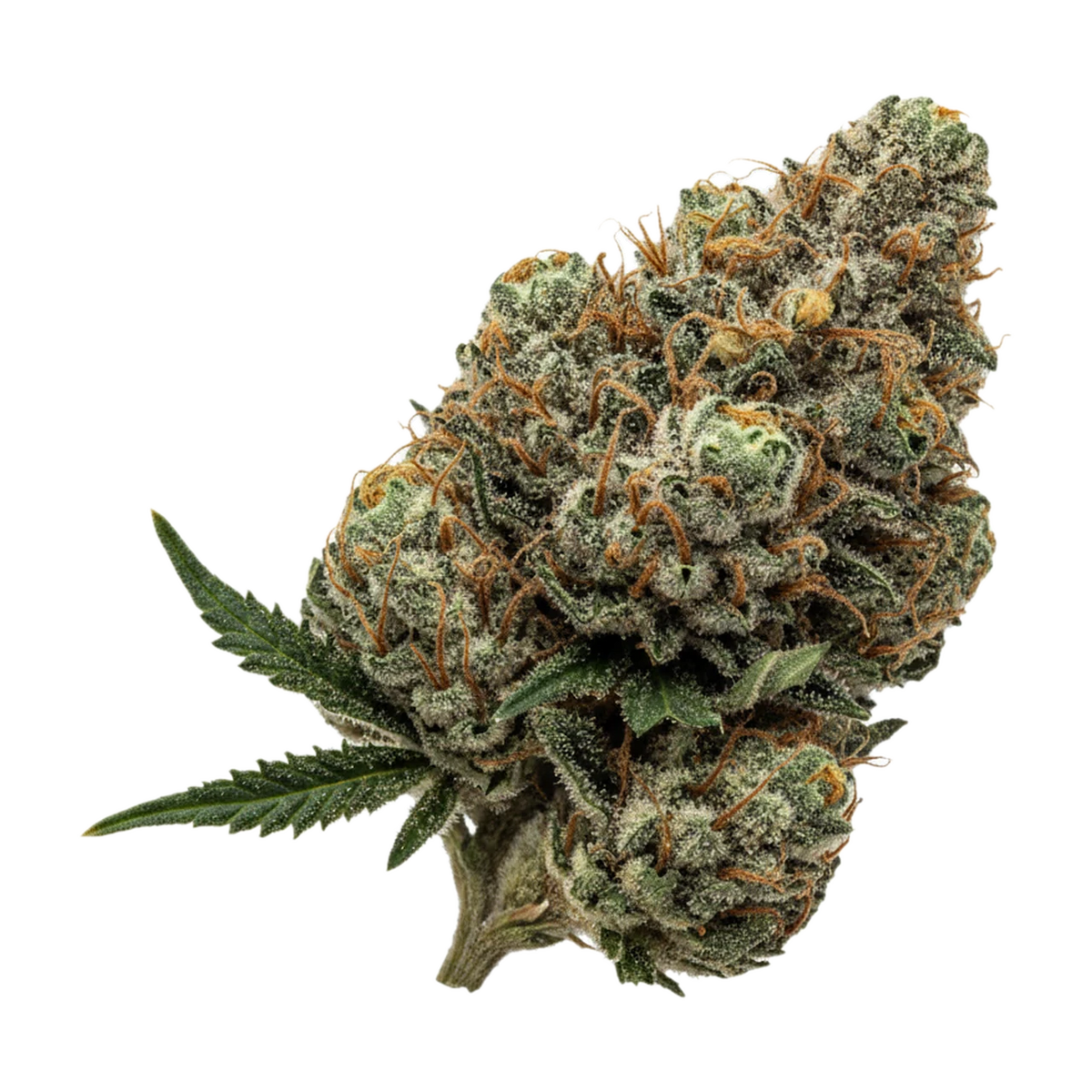 KI-generierte Illustration einer Cannabisblüte, zeigt nicht die tatsächliche Charge – avaay Signature 25/1 HYP "Hyperion"