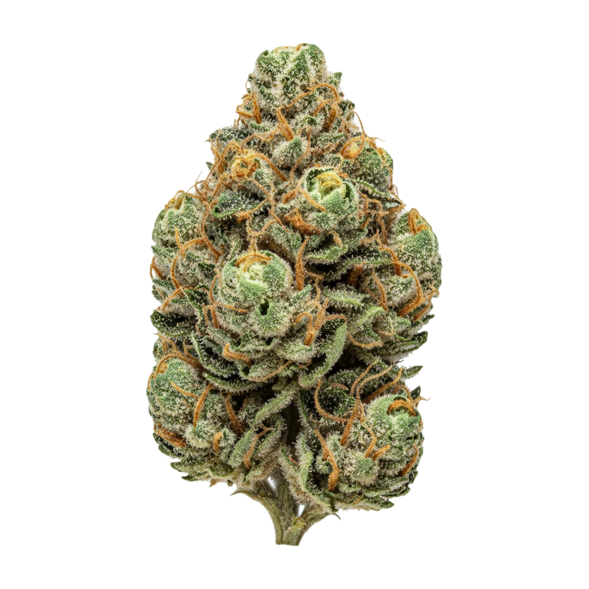 KI-generierte Illustration einer Cannabisblüte, zeigt nicht die tatsächliche Charge – avaay Signature 27/1 ARC "Apple Rock Candy"