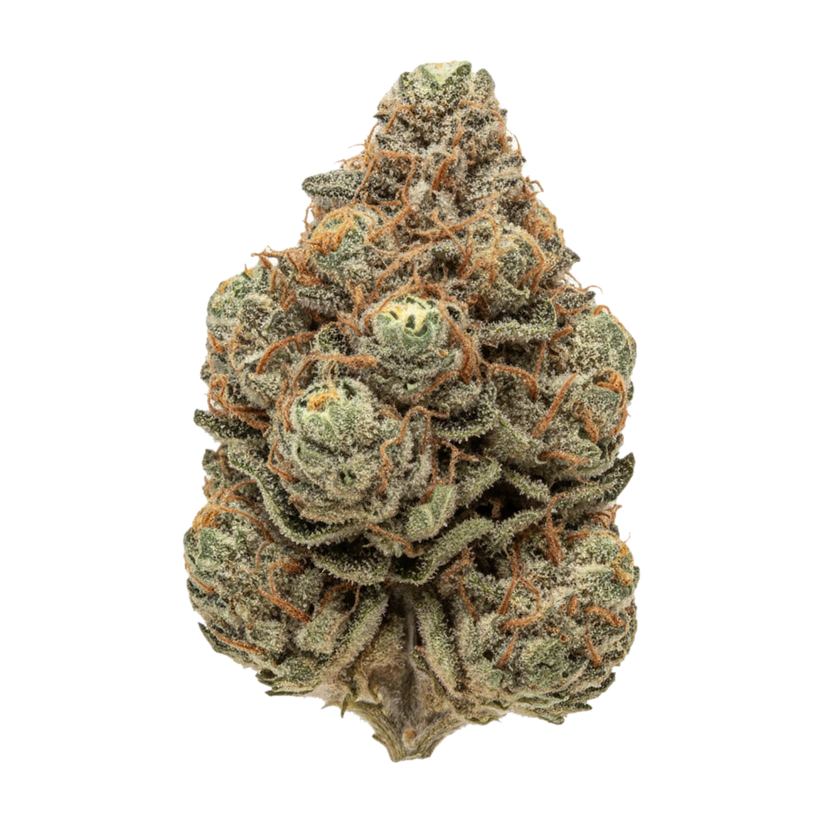 KI-generierte Illustration einer Cannabisblüte, zeigt nicht die tatsächliche Charge – avaay Signature 28/1 GPM "Gun Powder Milkshake"