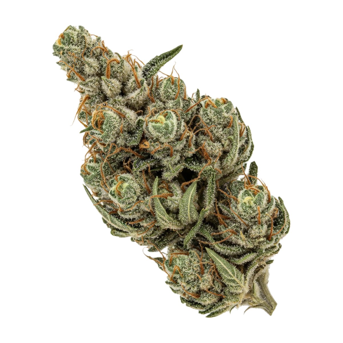 KI-generierte Illustration einer Cannabisblüte, zeigt nicht die tatsächliche Charge – avaay Signature 29/1 LEM "Lemon Loaf"