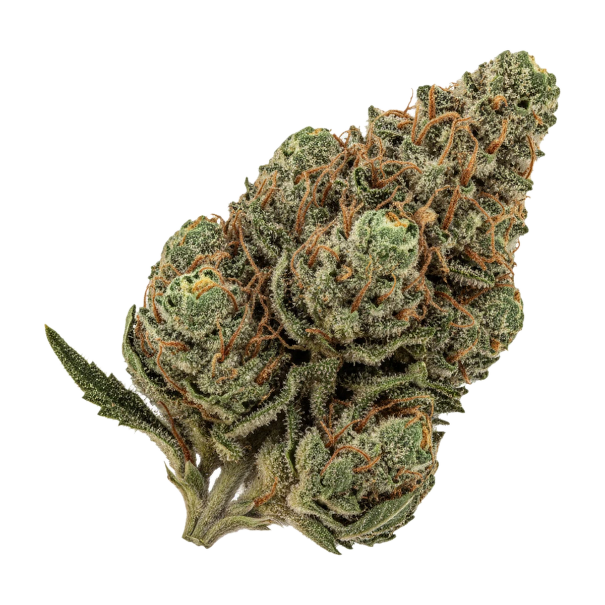 KI-generierte Illustration einer Cannabisblüte, zeigt nicht die tatsächliche Charge – Barongo 26/1 "Kali"