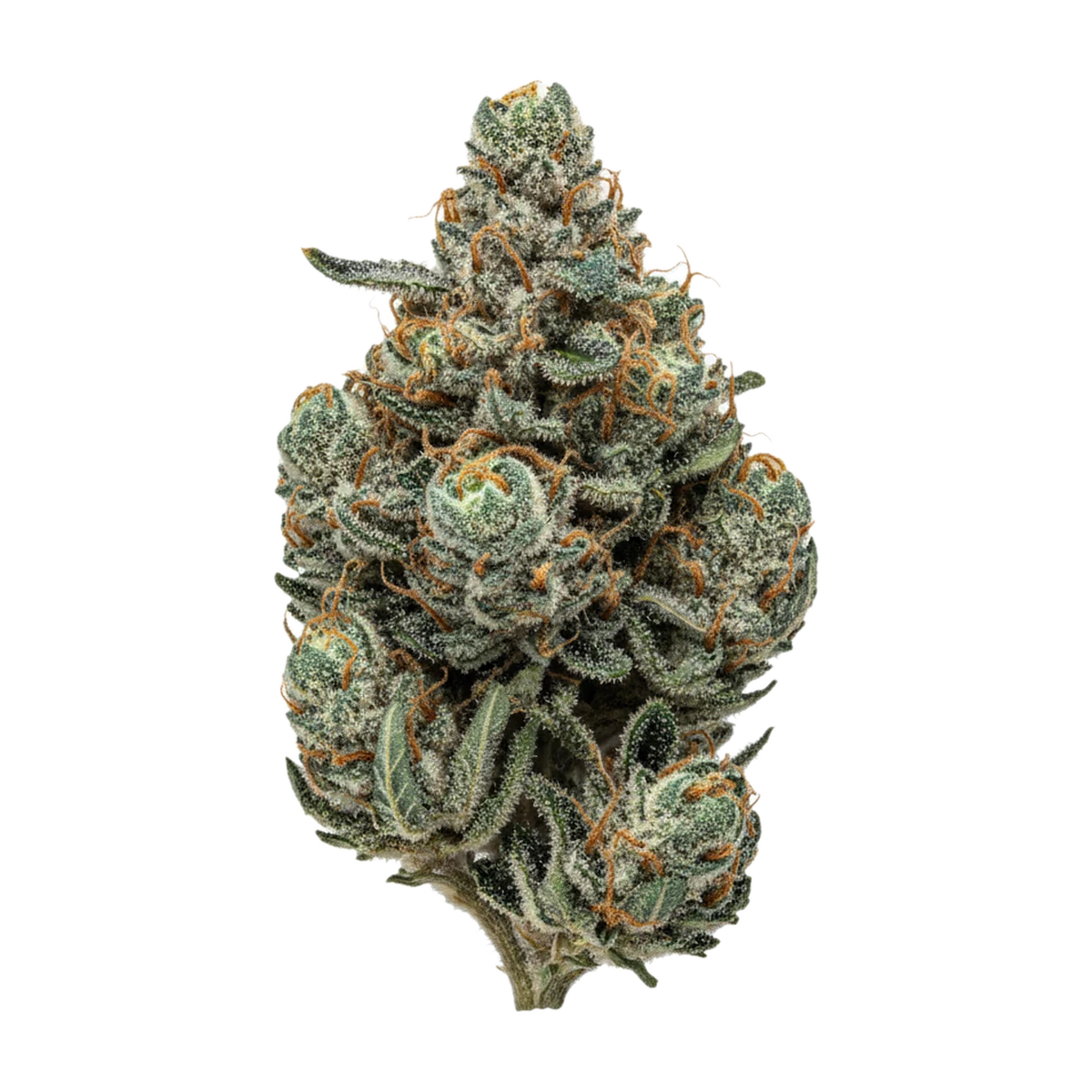 KI-generierte Illustration einer Cannabisblüte, zeigt nicht die tatsächliche Charge – Barongo 28/1 DR "El Jefe"