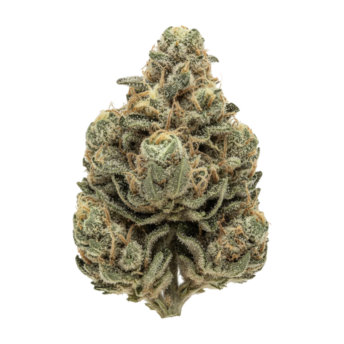 KI-generierte Illustration einer Cannabisblüte, zeigt nicht die tatsächliche Charge – Barongo 30/1 MC "Animal Mintz Cross"