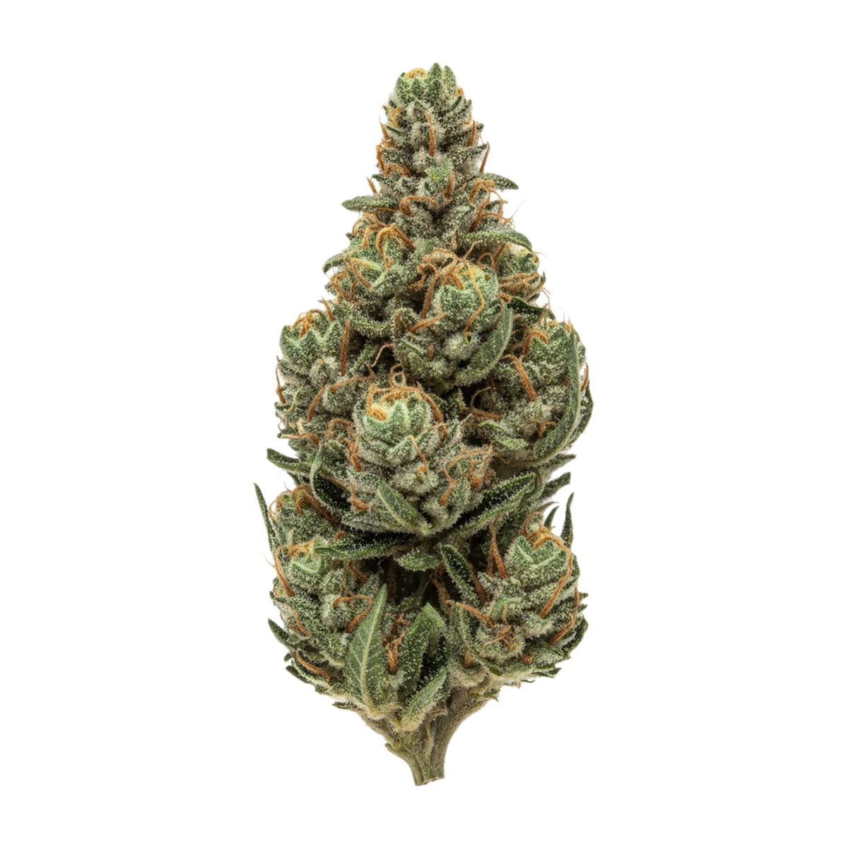 KI-generierte Illustration einer Cannabisblüte, zeigt nicht die tatsächliche Charge – Bathera "Permanent Marker"