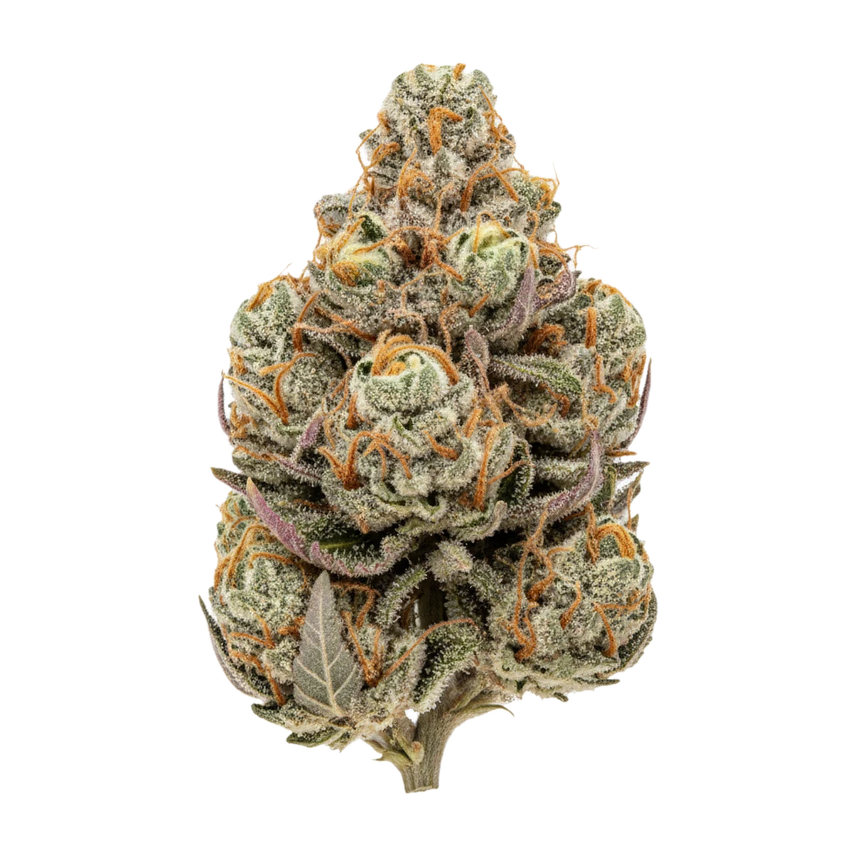 KI-generierte Illustration einer Cannabisblüte, zeigt nicht die tatsächliche Charge – Bathera BZ "Blue Z"