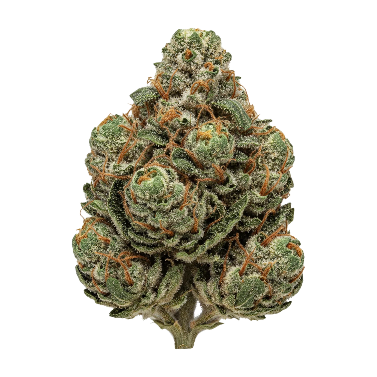 KI-generierte Illustration einer Cannabisblüte, zeigt nicht die tatsächliche Charge – Bathera 28/1 FA "Facetz"