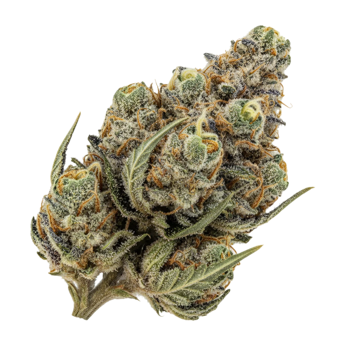 KI-generierte Illustration einer Cannabisblüte, zeigt nicht die tatsächliche Charge – Bedrocan Forte 25/1 "Afina"