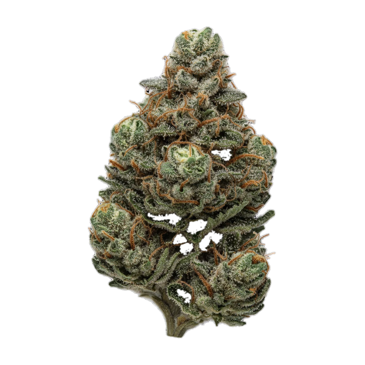 KI-generierte Illustration einer Cannabisblüte, zeigt nicht die tatsächliche Charge – Barongo 26/1 BM "Tropic Boom"