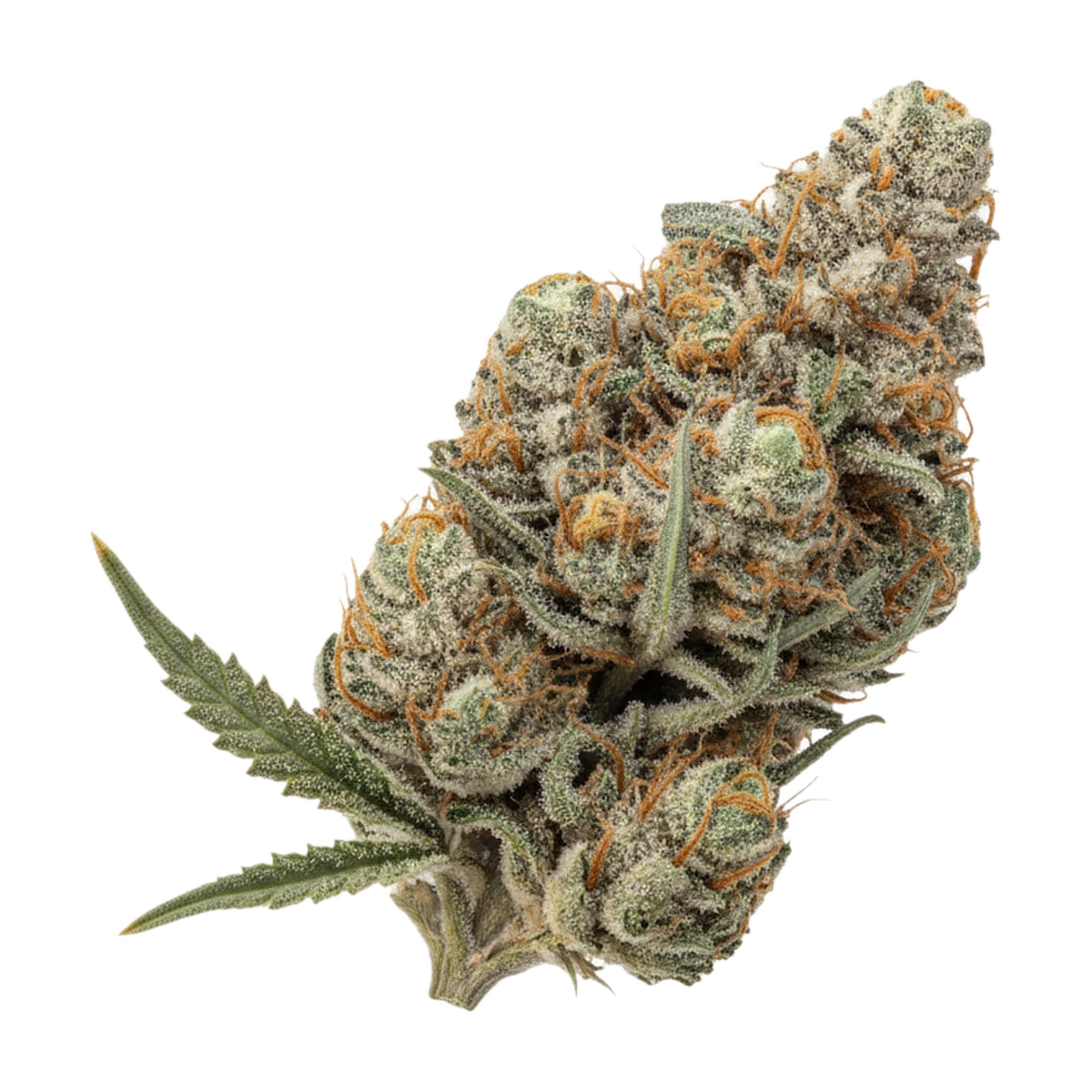 KI-generierte Illustration einer Cannabisblüte, zeigt nicht die tatsächliche Charge – Buuo 24/1 "Sudz"
