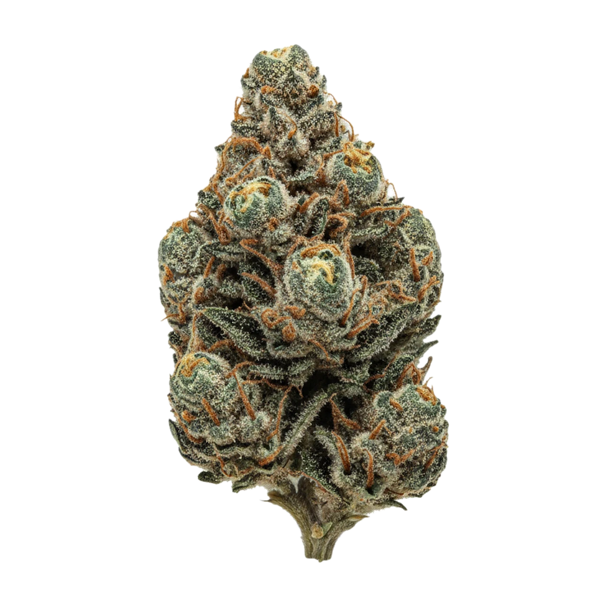KI-generierte Illustration einer Cannabisblüte, zeigt nicht die tatsächliche Charge – Cannabis 1A 16/1 "White Widow"