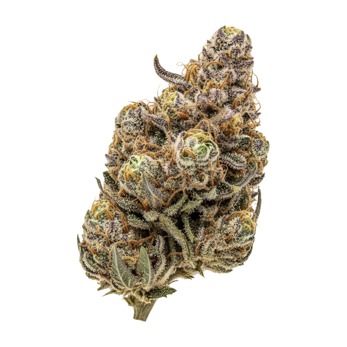KI-generierte Illustration einer Cannabisblüte, zeigt nicht die tatsächliche Charge – Cannamedical CM 28/1 BRY "Strawberry OG"