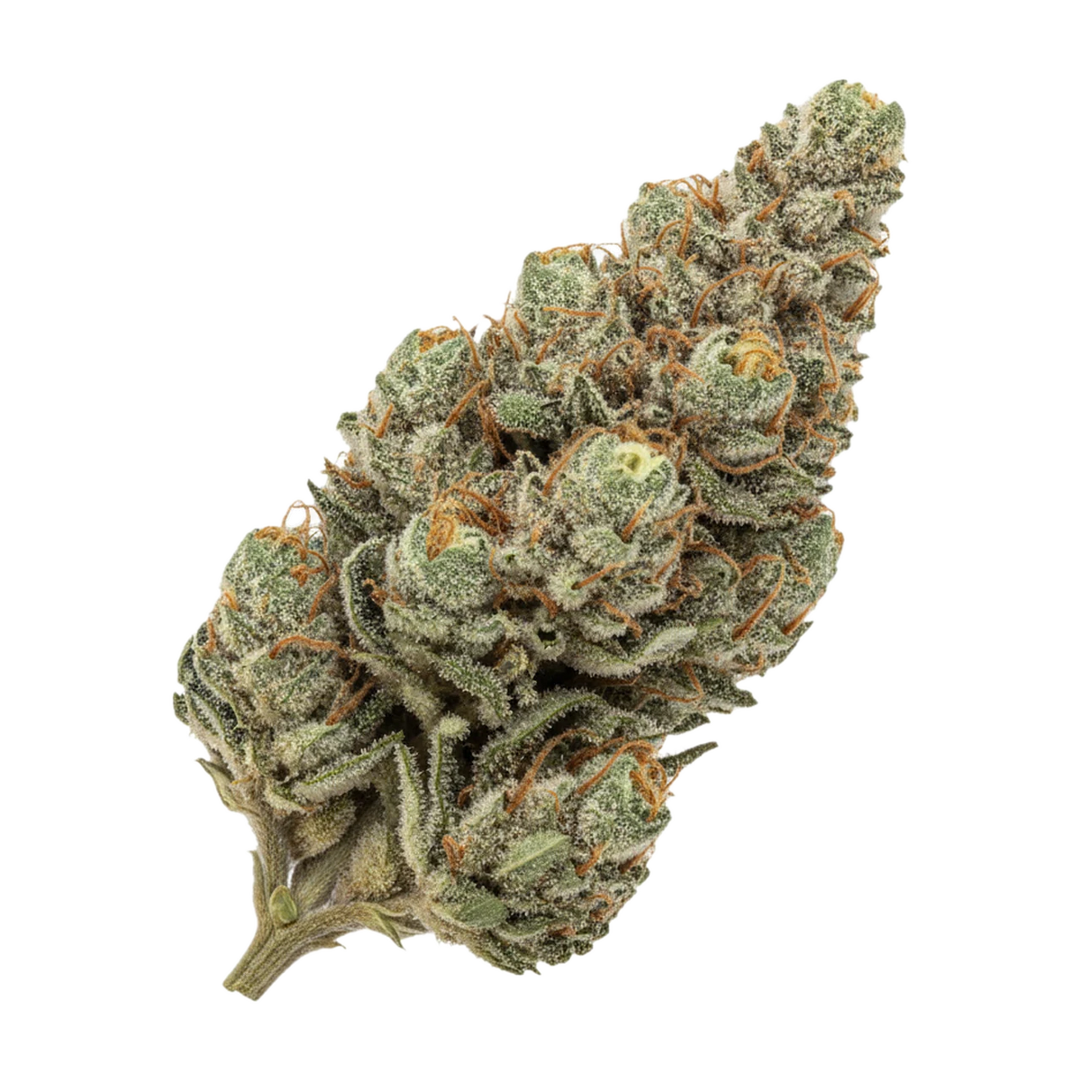 KI-generierte Illustration einer Cannabisblüte, zeigt nicht die tatsächliche Charge – Cannamedical CM 28/1 DM "Diamond Mints"