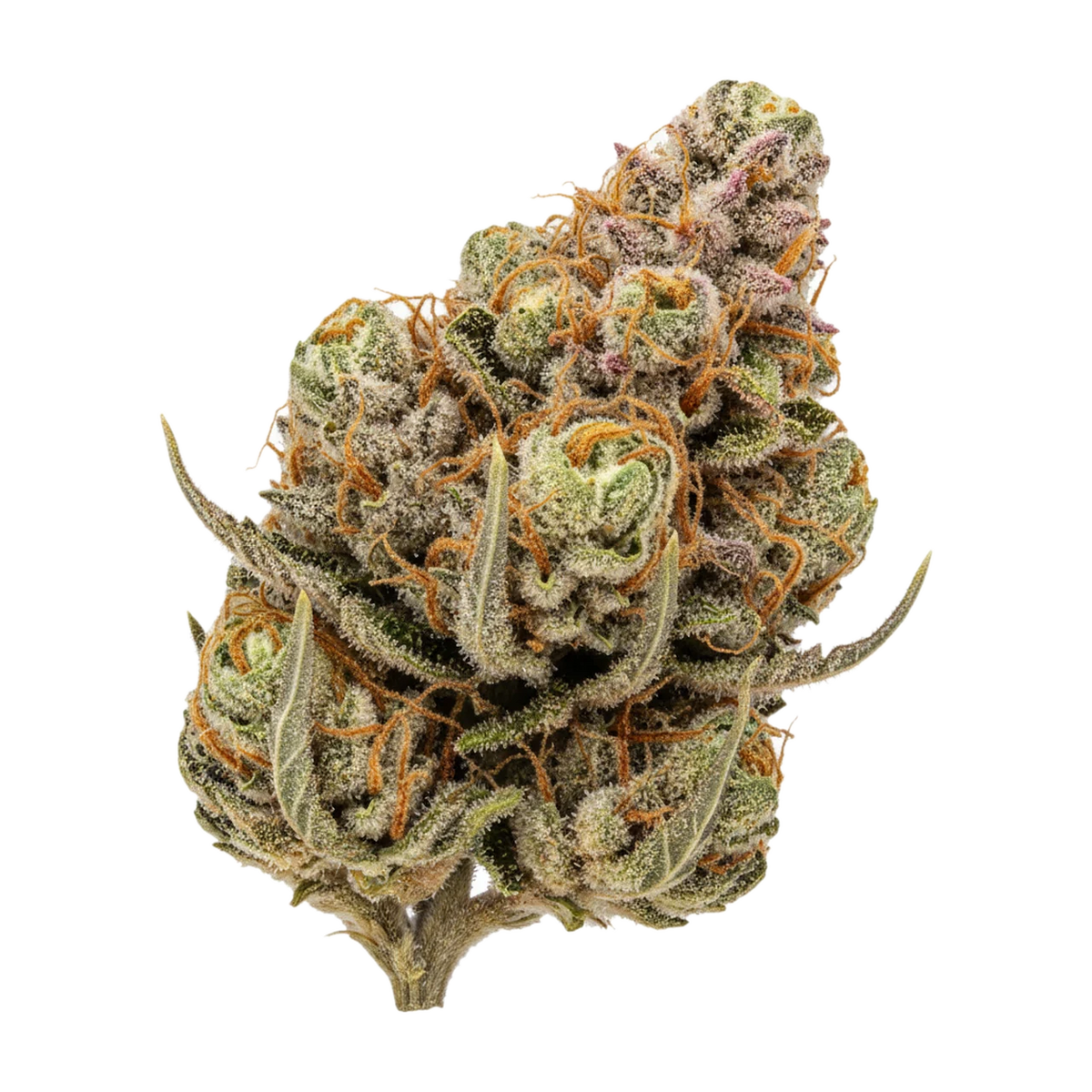 KI-generierte Illustration einer Cannabisblüte, zeigt nicht die tatsächliche Charge – Cannamedical Hybrid Classic KA 20/1 "Orange Bud"